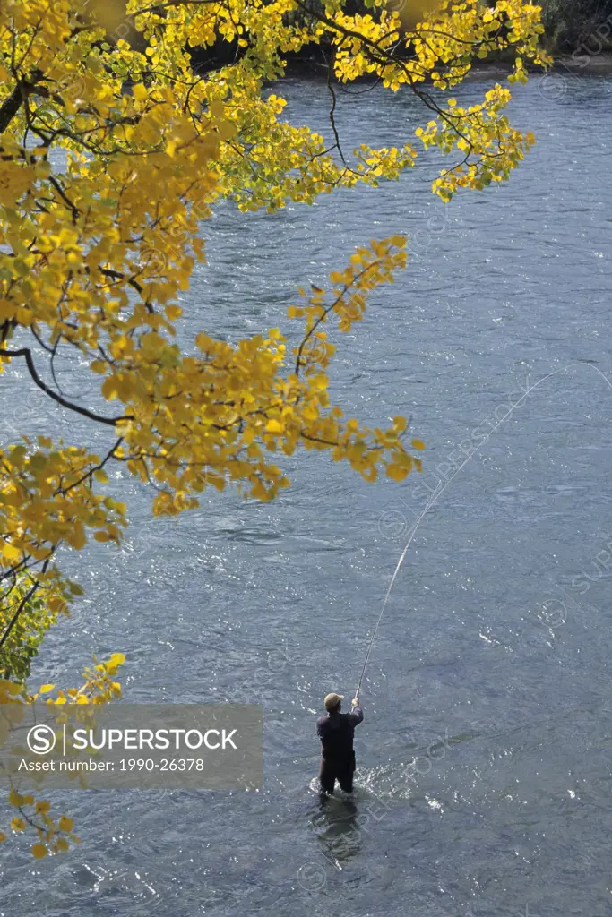 Flyfisherman on the Bulkley river near Quick, British Columbia, Canada