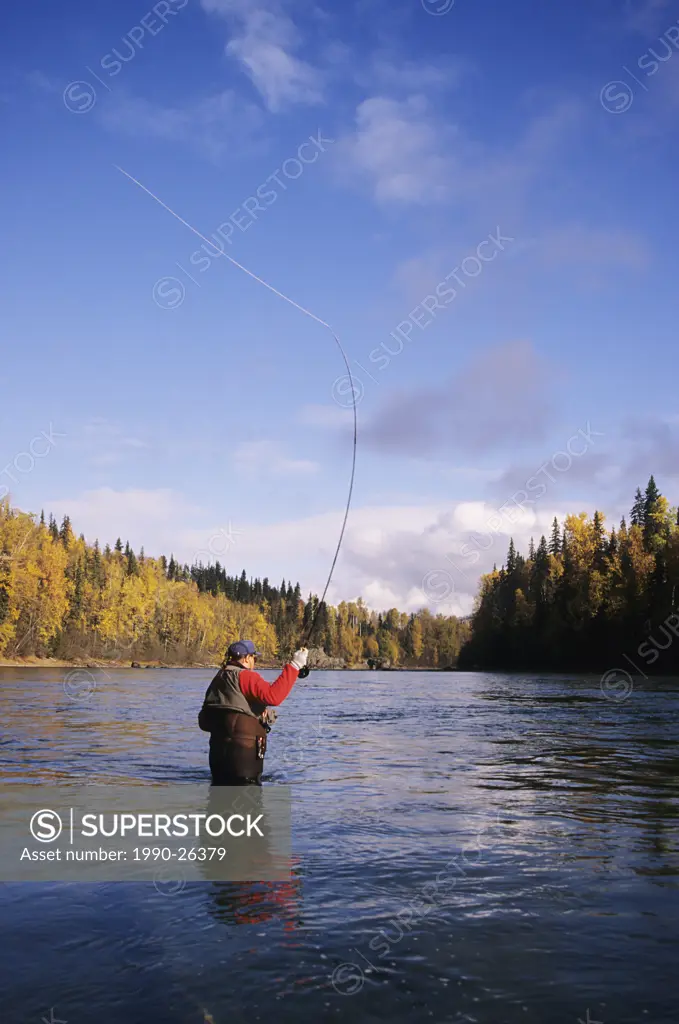 Flyfisherman casting for steelhead on the Bulkley river, Smithers, British Columbia, Canada