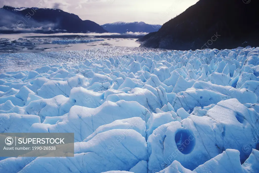Great Glacier Provincial Park, lower Stikine, British Columbia, Canada