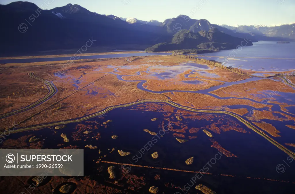 Aerial of Cranberries in the Pitt River, Fraser Valley, British Columbia, Canada