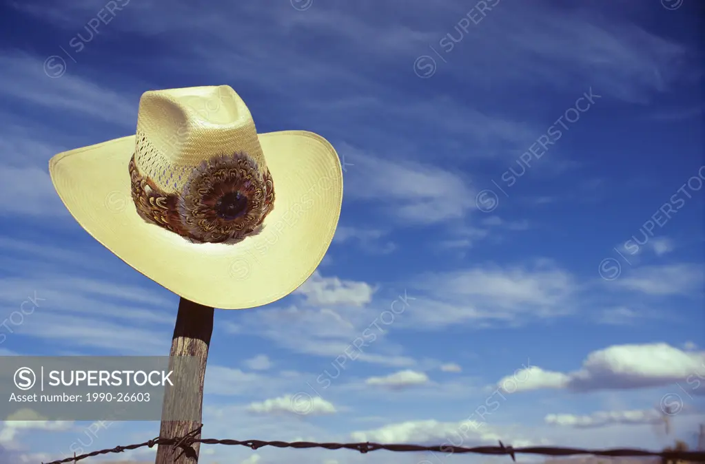 Cowboy hat on barbed wire fence, British Columbia, Canada