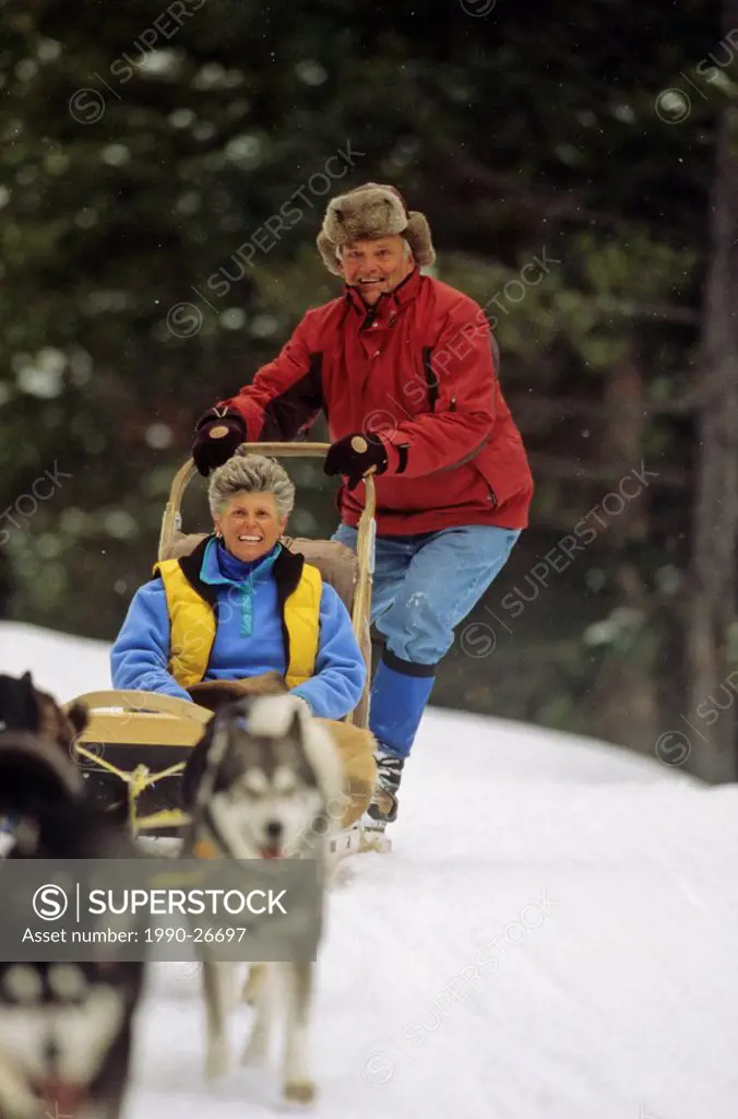 Senior couple on dog sled, Whistler area, British Columbia, Canada