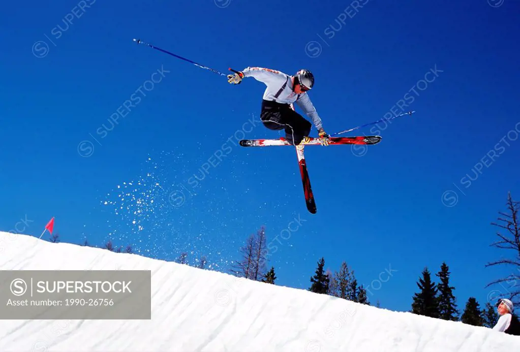 Skier skiing in halfpipe at Fernie Alpine Resort, Fernie, East Kootenays, British Columbia, Canada