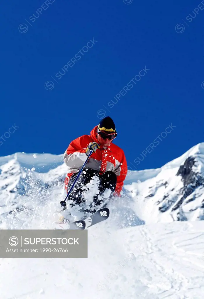 Skier skiing fresh deep powder at Fernie Alpine Resort, Fernie, East Kootenays, British Columbia, Canada