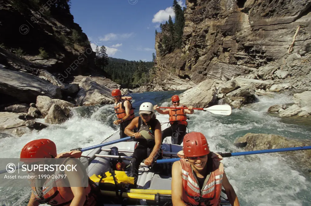 Group of people whitewater rafting on Lower Elk River in Elk Valley near Fernie, East Kootenays, British Columbia, Canada