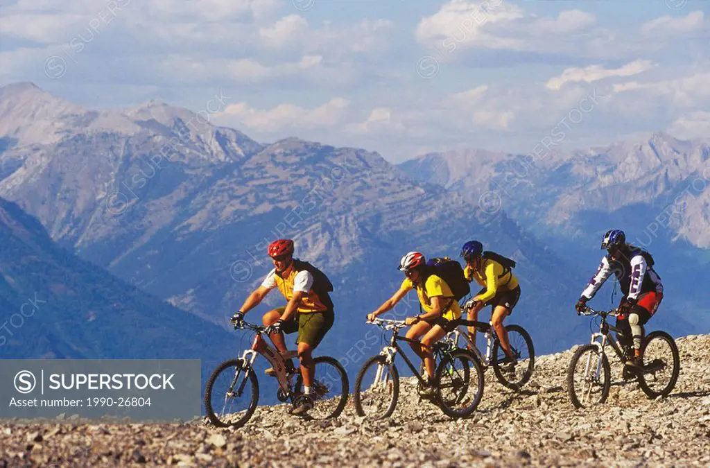 Young adults mountain biking, Fernie Alpine Resort, British Columbia, Canada