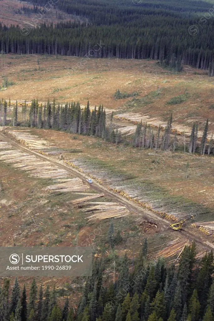 Logging clear cut, Ootsa Lake area, British Columbia, Canada