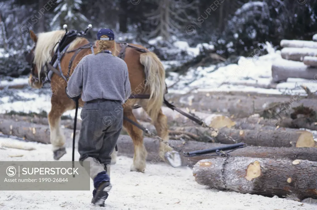 Horse logging, Bulkley Valley, British Columbia, Canada