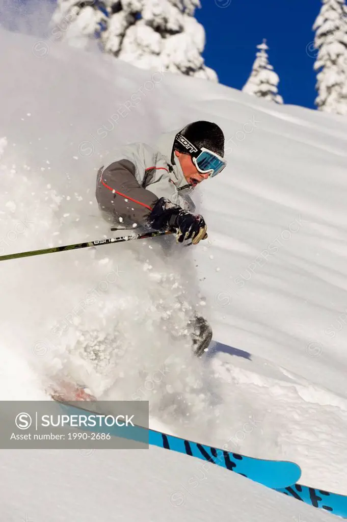 Young man skiing deep powder at Fernie Alpine Resort, Fernie, British Columbia, Canada