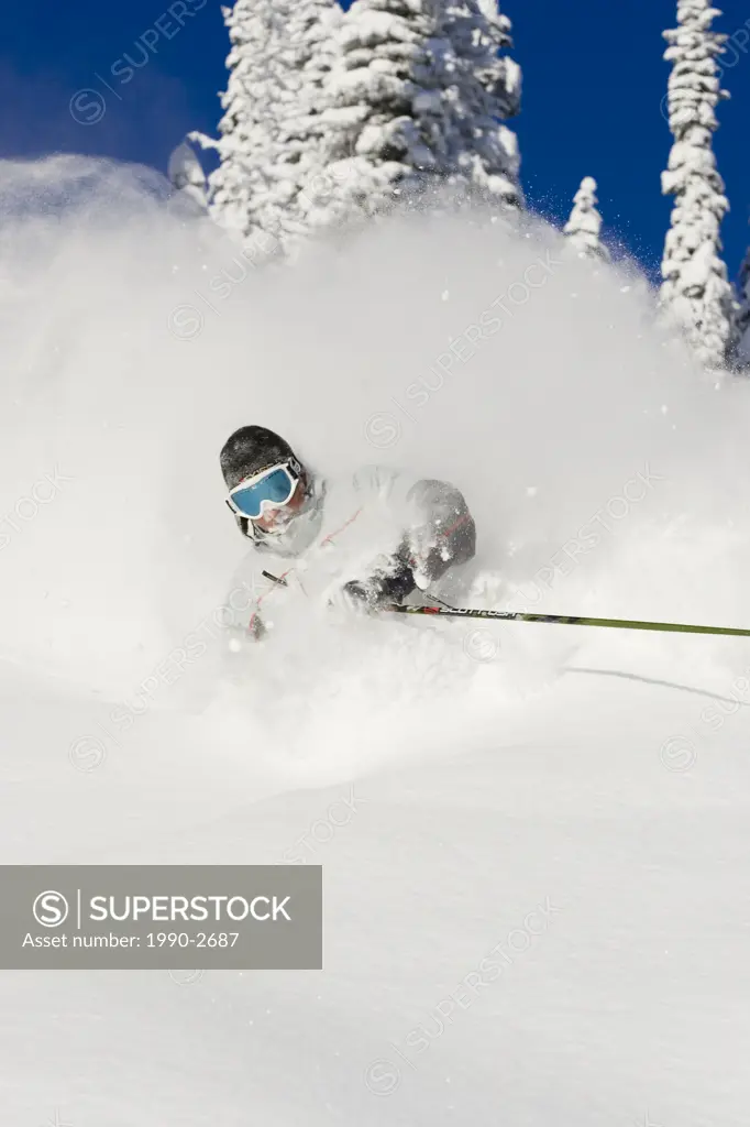 Young man skiing deep powder at Fernie Alpine Resort, Fernie, British Columbia, Canada