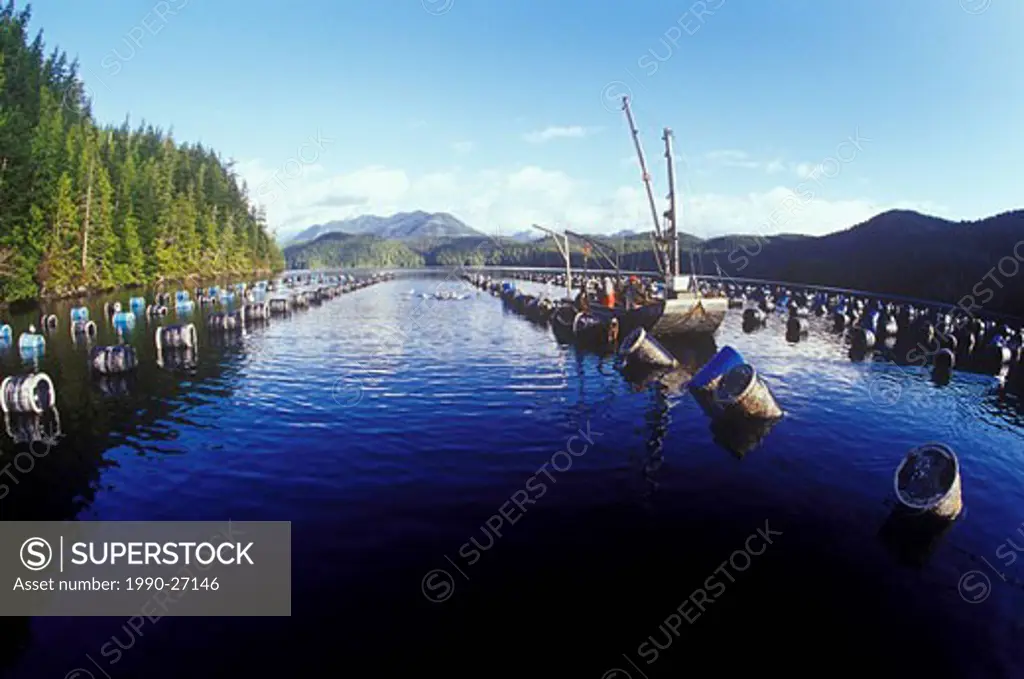 Deep water oyster farm in Clayoquot Sound, Vancouver Island, British Columbia, Canada