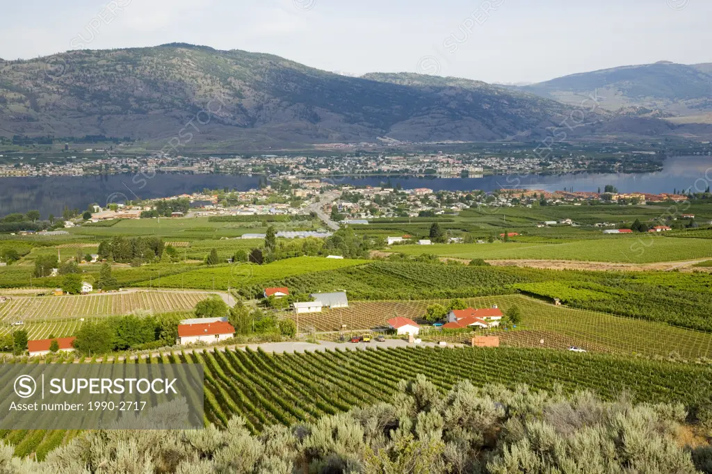 View of vineyard and city of Osoyoos on Osoyoos Lake, British Columbia, Canada