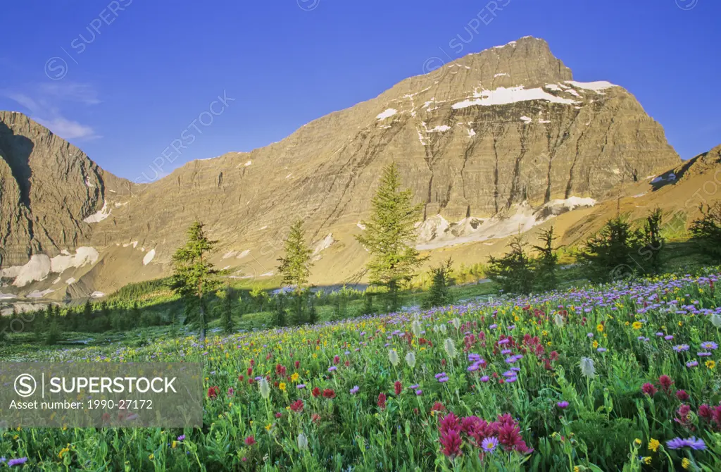 Mount Drysdale and Rockwall Pass, Kootenay National Park, British Columbia, Canada