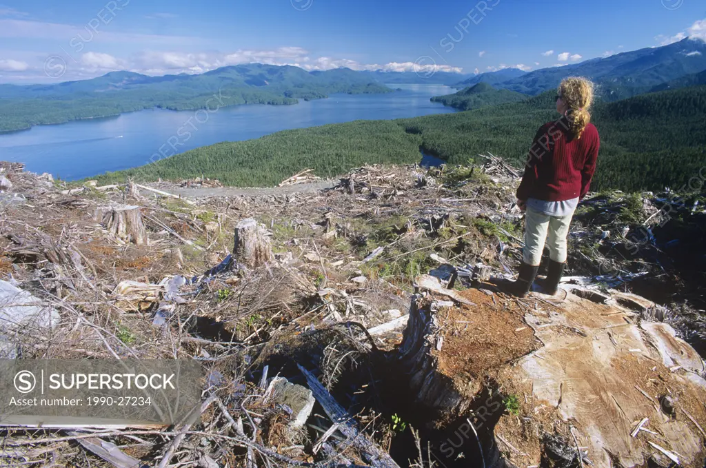 Clearcut logging, Rivers Inlet, Great Bear Rainfrorest, British Columbia, Canada