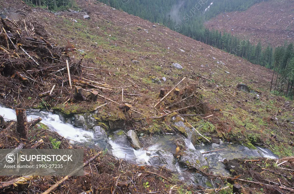 Clearcut logging, Gribbell island, Great Bear Rainfrorest, British Columbia, Canada