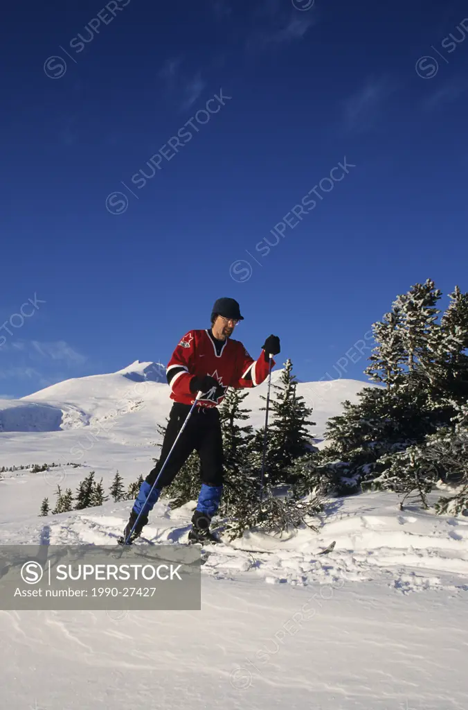 Backcountry skiing, Hudson Bay Mountain, Smithers, British Columbia, Canada