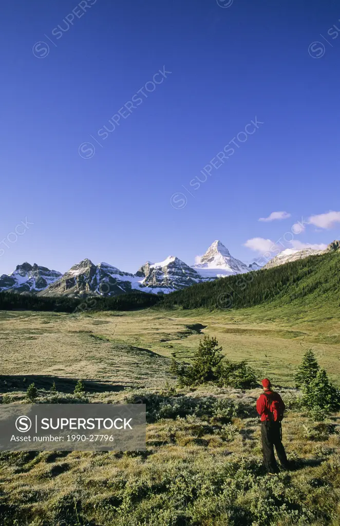 Hiker in front of Mount Assiniboine, Mount Assiniboine Provincial Park, British Columbia, Canada