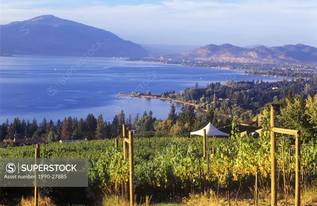Summerhill Estate Winery overlooking Okanagan Lake, British Columbia, Canada