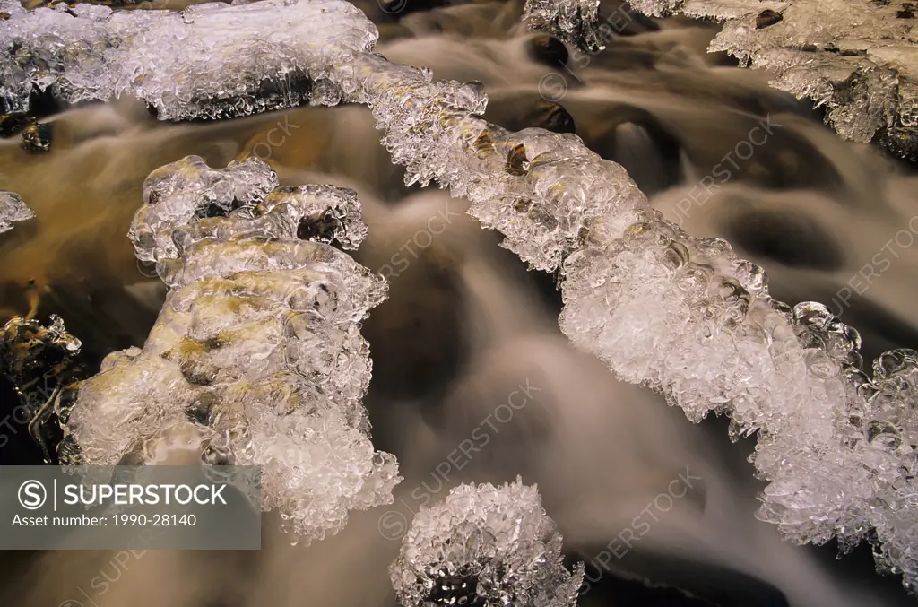 Ice formations on rocks, Canyon Creek, Bulkley Valley, British Columbia, Canada