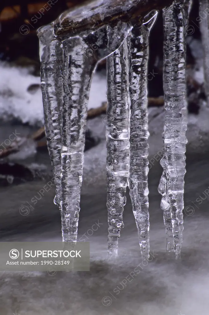 Icicles, Canyon Creek, Smithers, British Columbia, Canada