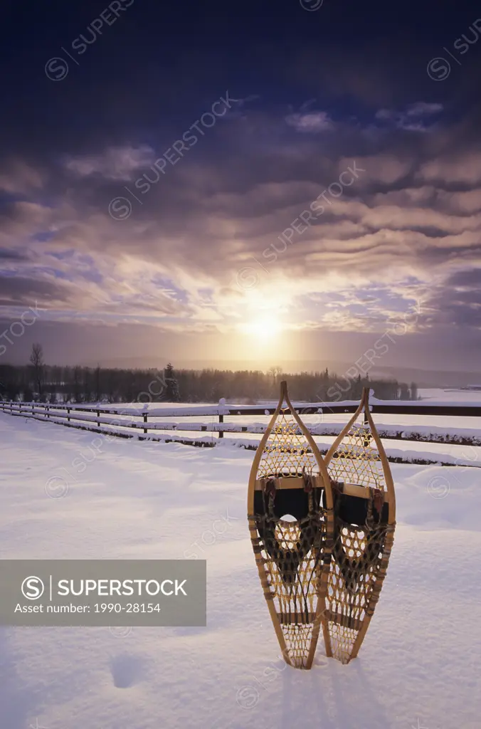 Snowshoes in stormy winter scene, Smithers, British Columbia, Canada