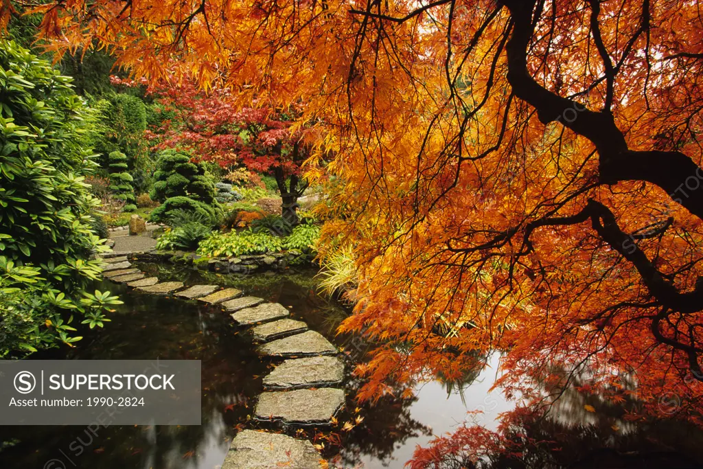 Autumn colors in Butchart Gardens, Victoria, Vancouver Island, British Columbia, canada
