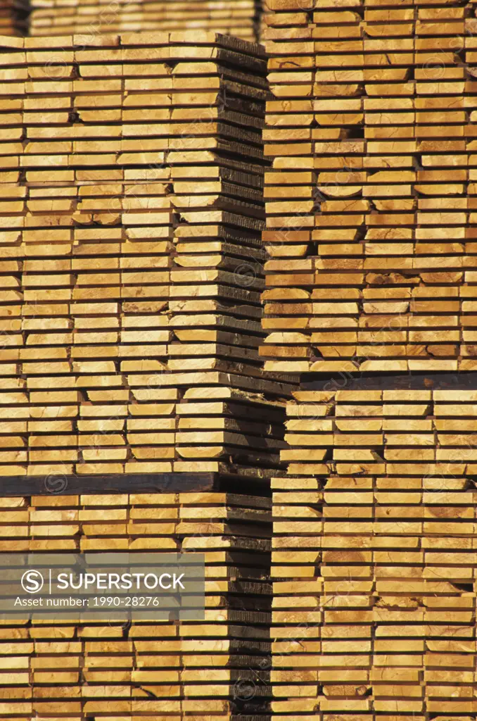 Cut dimensional lumber stacked at sawmill, Smithers, British Columbia, Canada
