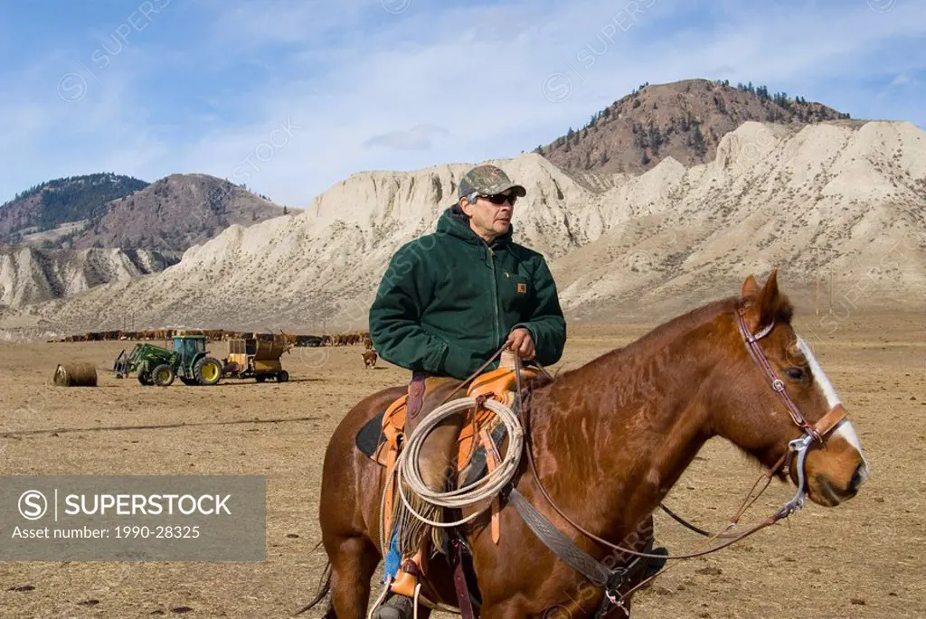 Cowboy on horseback with tractor behind, British Columbia, Canada