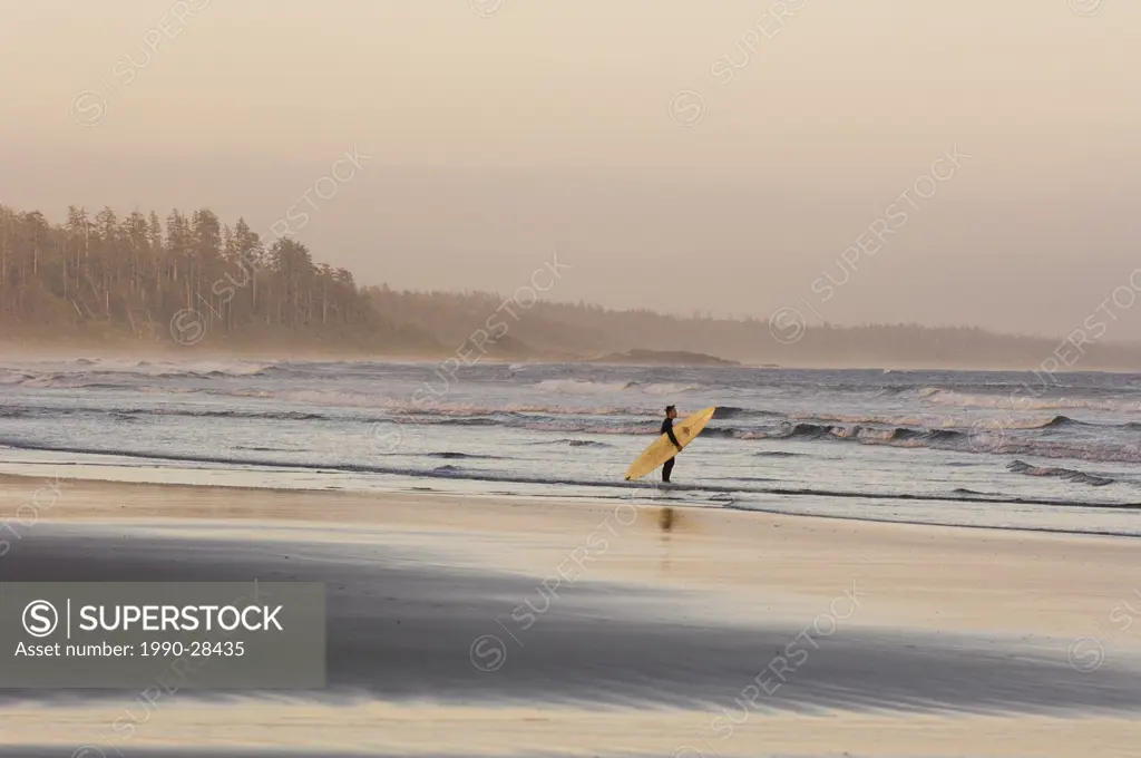 Pacific Rim National Park, Long Beach, surfer walks shoreline, Vancouver Island, British Columbia, Canada