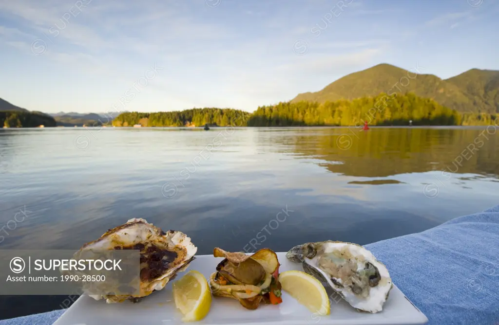 Gourmet oyster plate displayed at Tofino waterfront, Vancouver Island, British Columbia, Canada