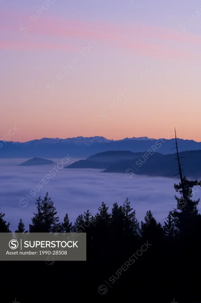 Malahat lookout over Finlayson Arm, north of Victoria at sunset with fog below hilltops, Vancouver Island, British Columbia, Canada