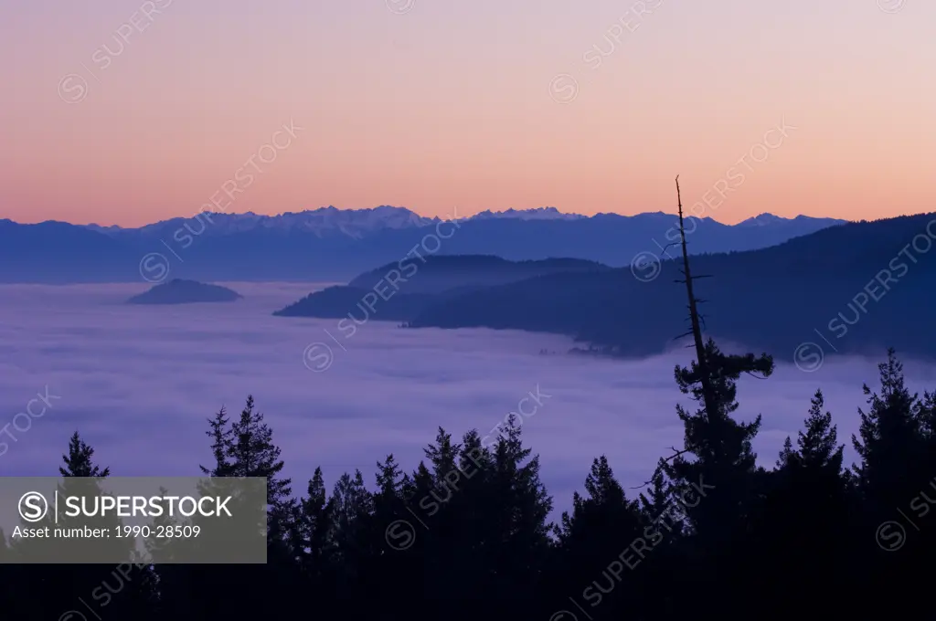 Malahat lookout over Finlayson Arm, north of Victoria at sunset with fog below hilltops, Vancouver Island, British Columbia, Canada