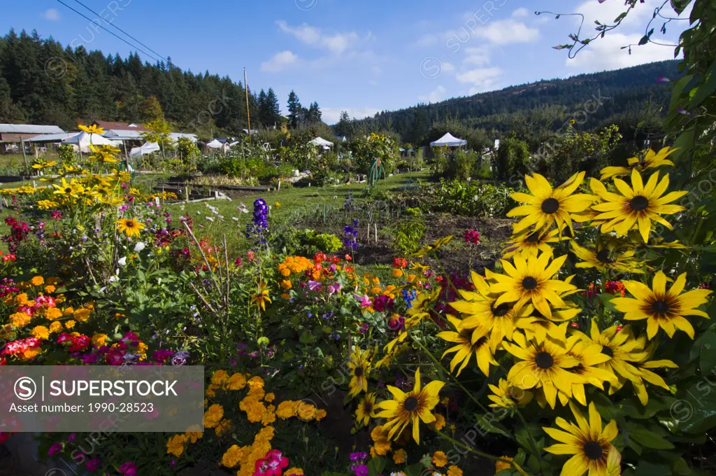 Providence Farm garden, Cowichan Bay, Vancouver Island, British Columbia, Canada