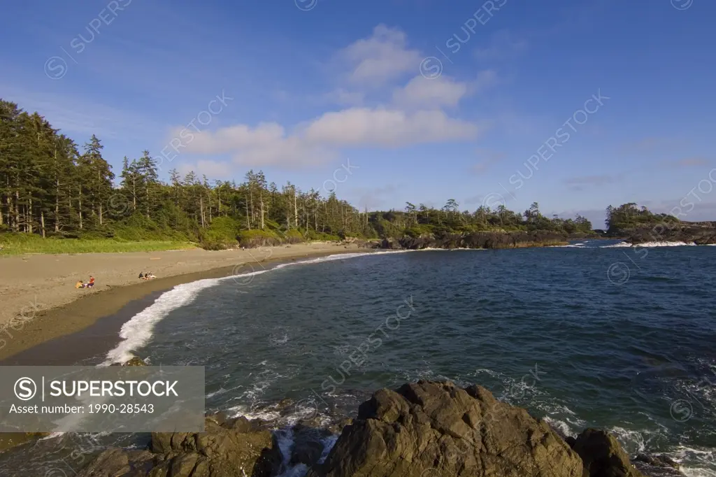 Pacific Rim National Park, South Beach, on trail south of Wickaninnish Beach, Vancouver Island, British Columbia, Canada