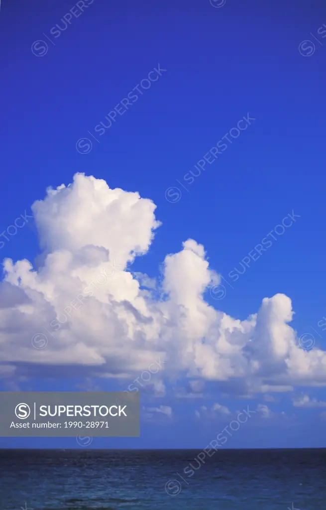 Cumulo nimbus clouds hover over tropical sea