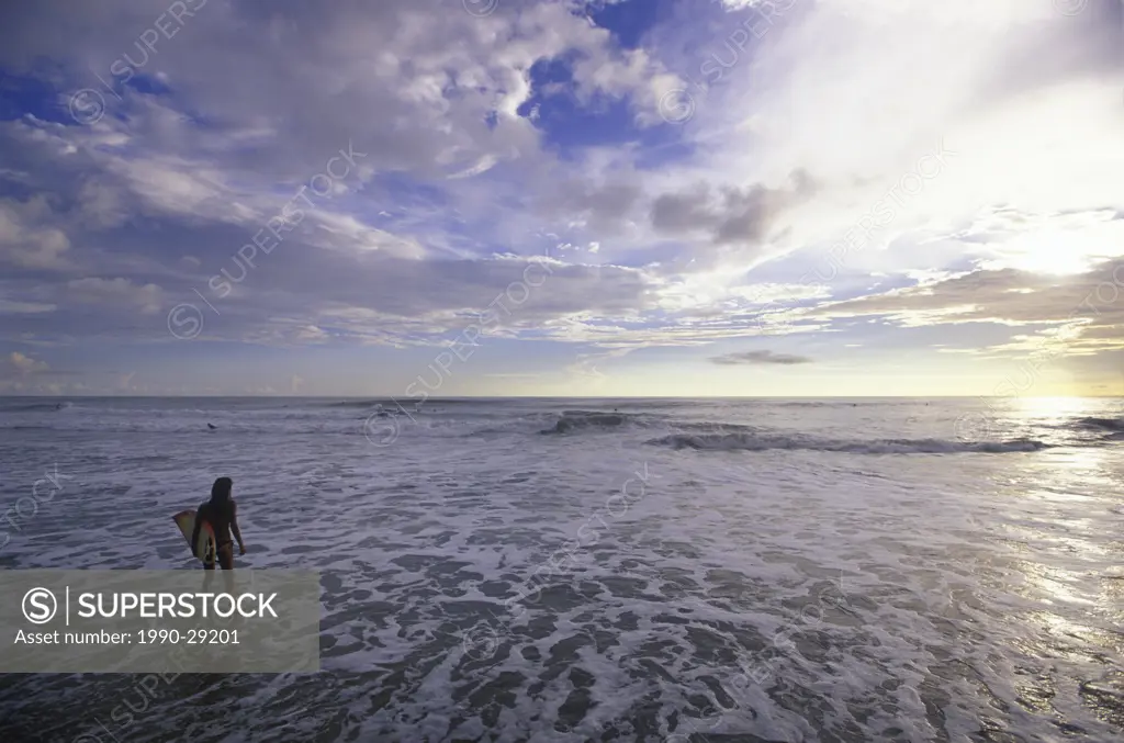 Beach at Santa Theresa, a premiere surfing destination. Surfer walks into sea, Nicoya Peninsula, Costa Rica.