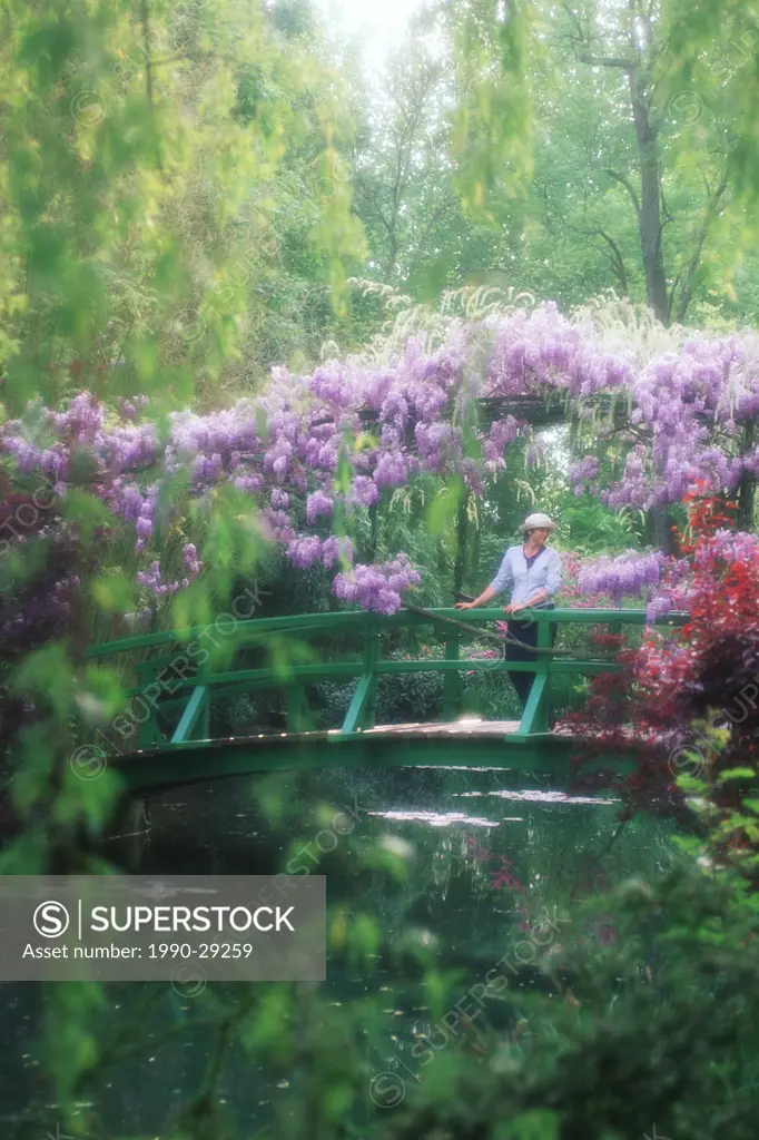 France, Giverney _ Monet´s Garden _ Diffuse woman on bridge with wisteria in full bloom