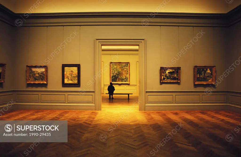 Woman enjoys paintings in the Metropolitan Musuem of Art, New York, NY, USA