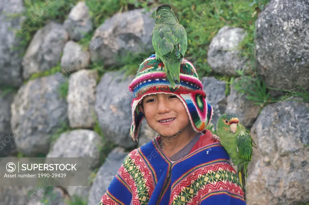 Young boy with parrots, Sacsayhuaman, just north of Cusco, Sacred Valley, Peru
