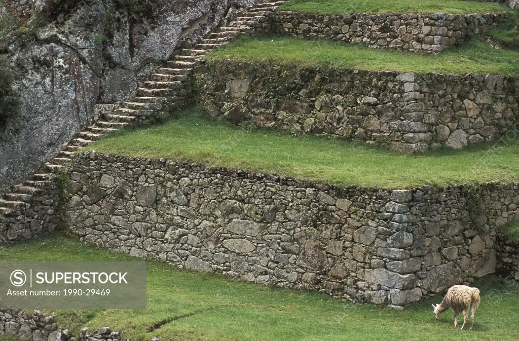 Machu Picchu Unesco World Heritage Site, Urubamba Valley, Peru