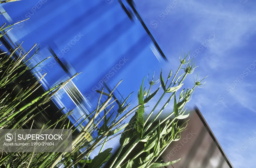 Freight train with motion blur from low angle in grasses