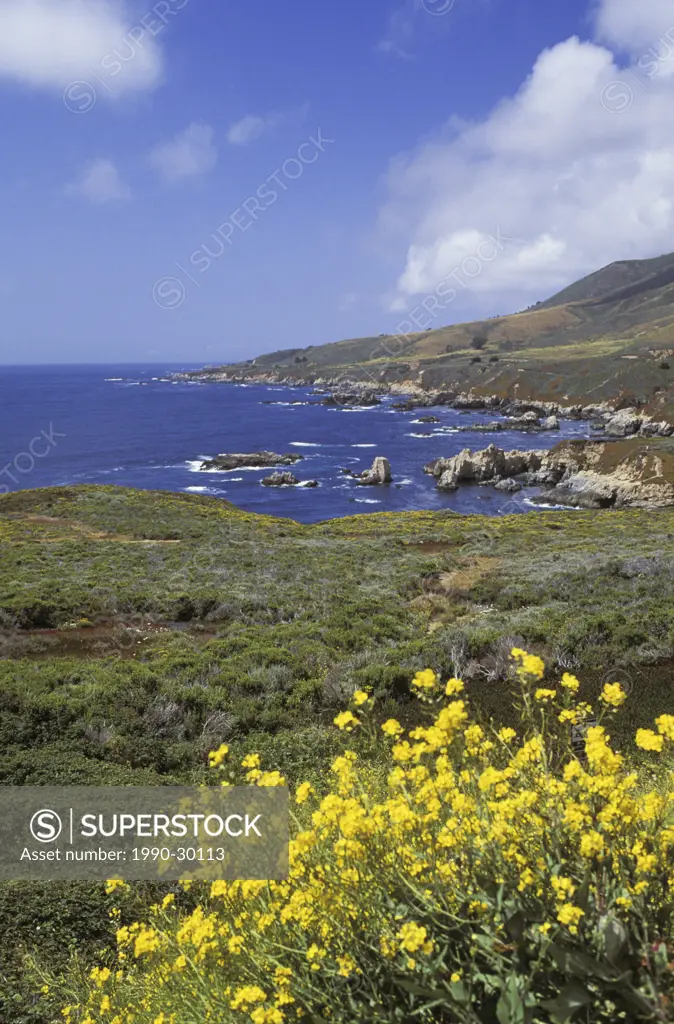 USA, California, coastline near Big Sur