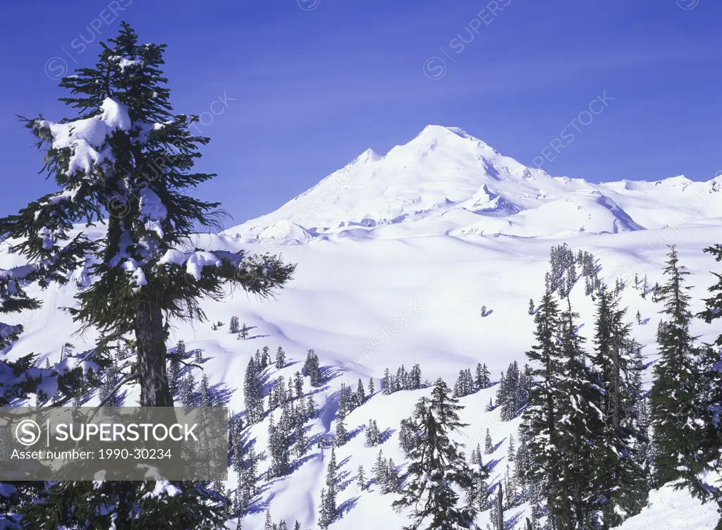 USA, Washington State, Mount Baker Recreation Area in winter