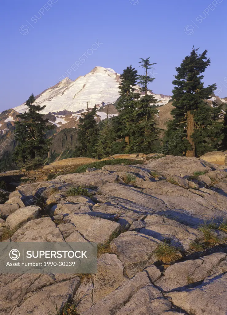 USA, Washington State, Mount Baker Recreation Area