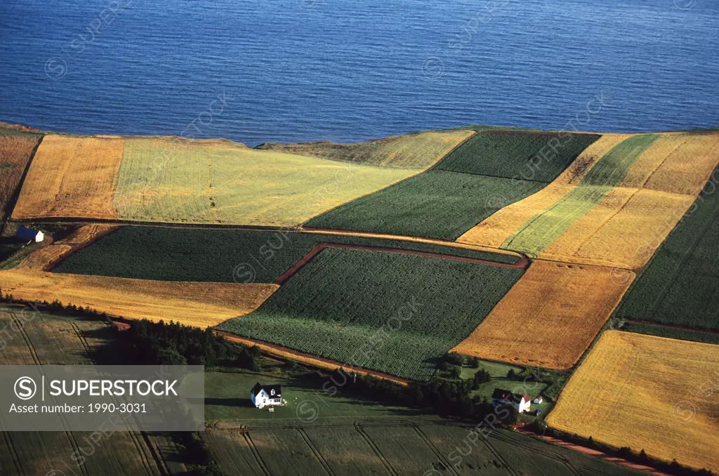 Aerial, cultivated field, Park Corner, Prince Edward Island, Canada