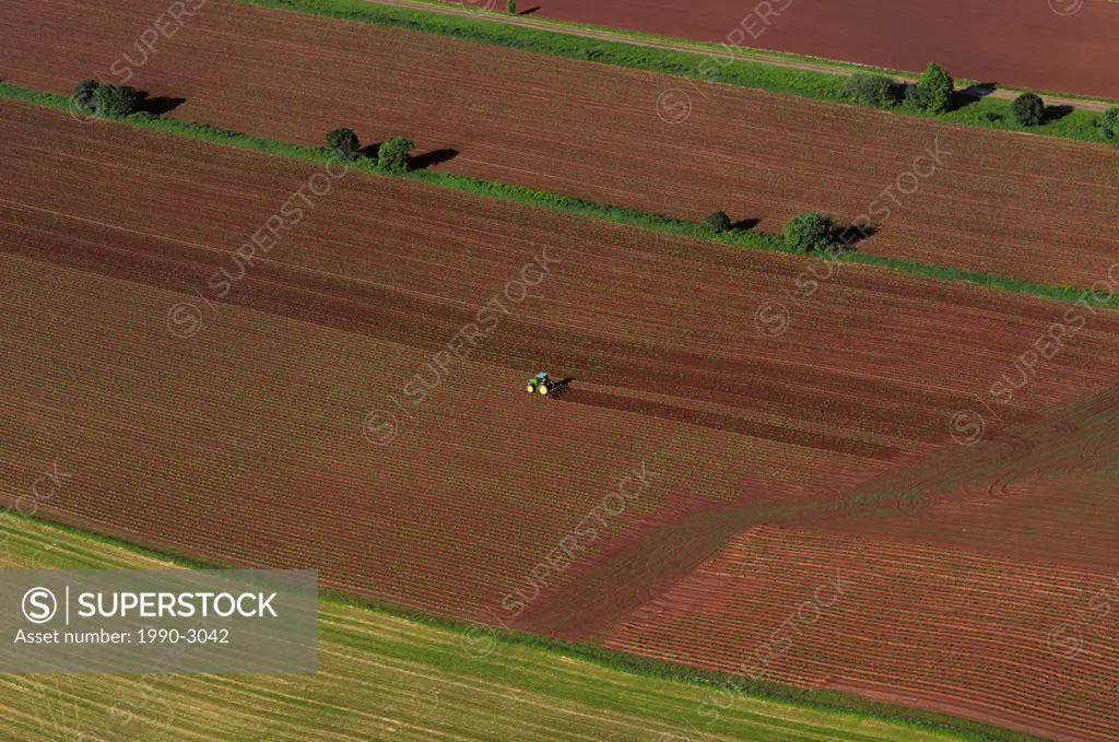 Harrowing potato field, Tea Hill, Prince Edward Island Canada