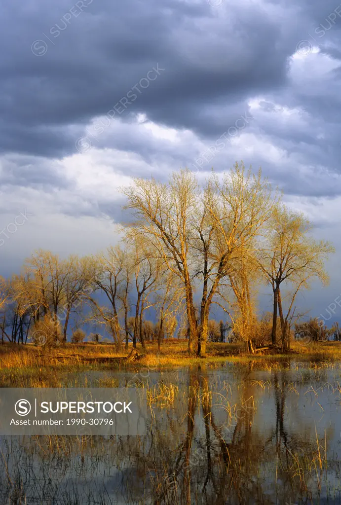 Spring rain storm in Sheyenne National Grasslands, North Dakota, USA