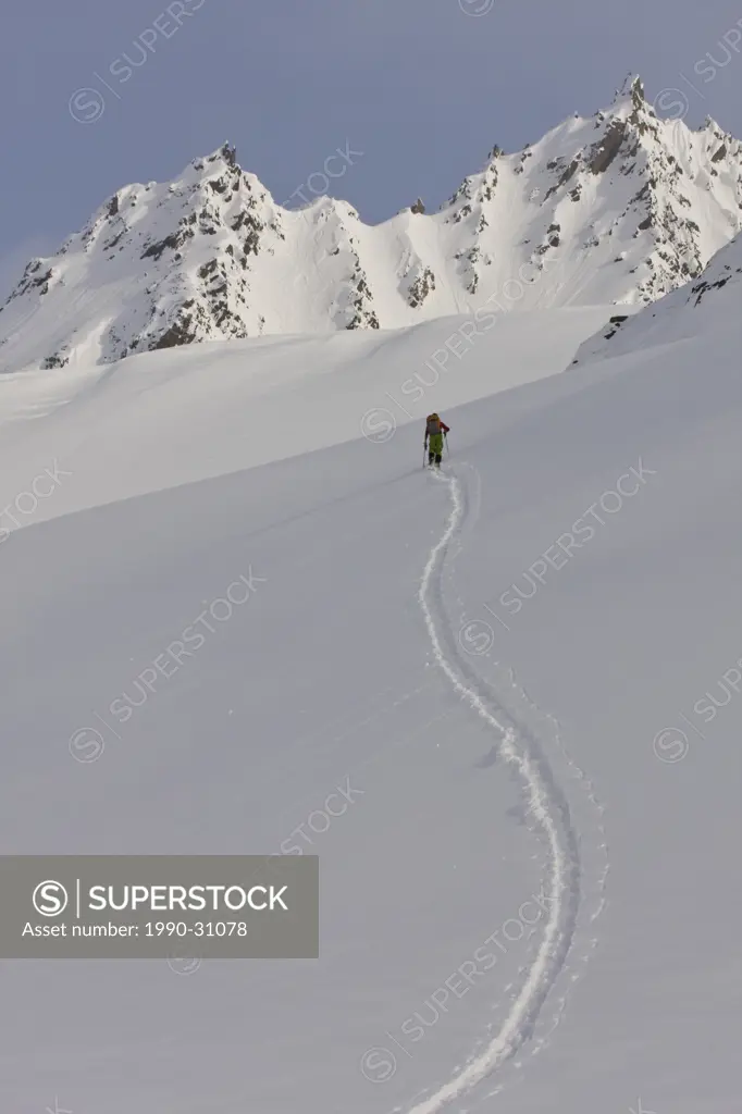 A skier uptracking to get to Thompson Pass, Valdez, Alaska, USA