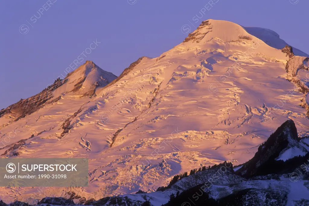 Mount Baker at sunrise, Mount Baker Wilderness, Washington, USA