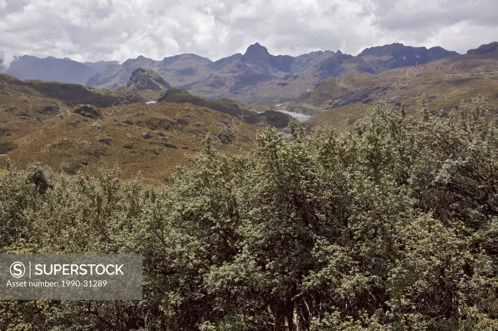 A scenic view of Cajas National Park near Cuenca, Ecuador.